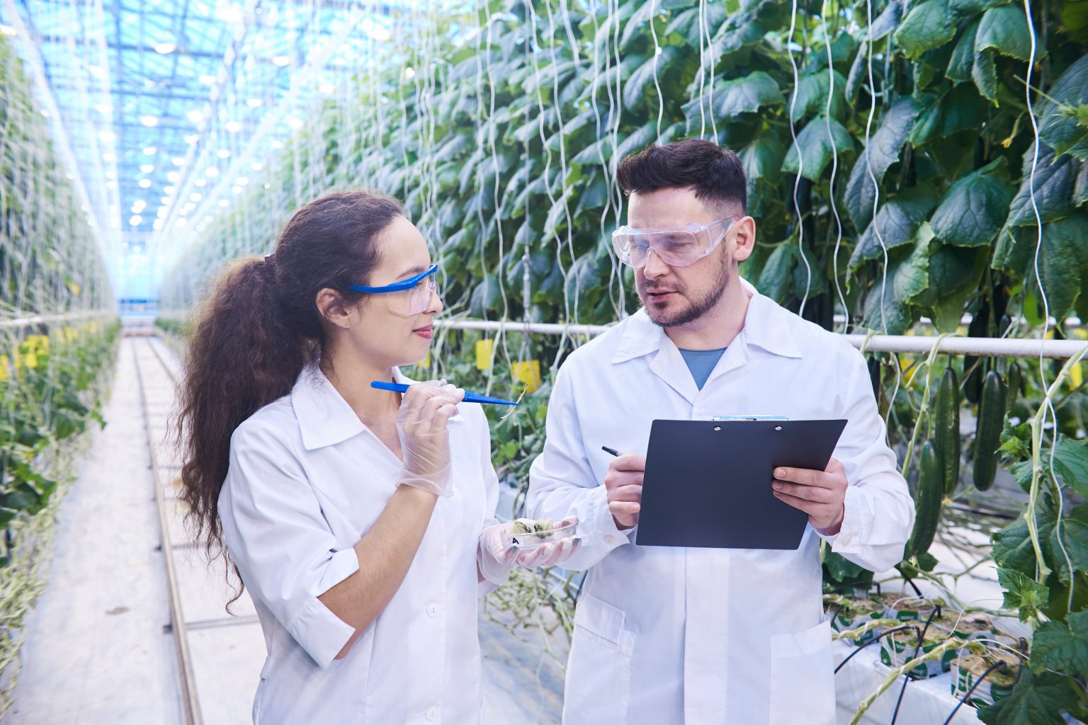Ingeniería Agronómica: tu futuro en el desarrollo agrícola sostenible