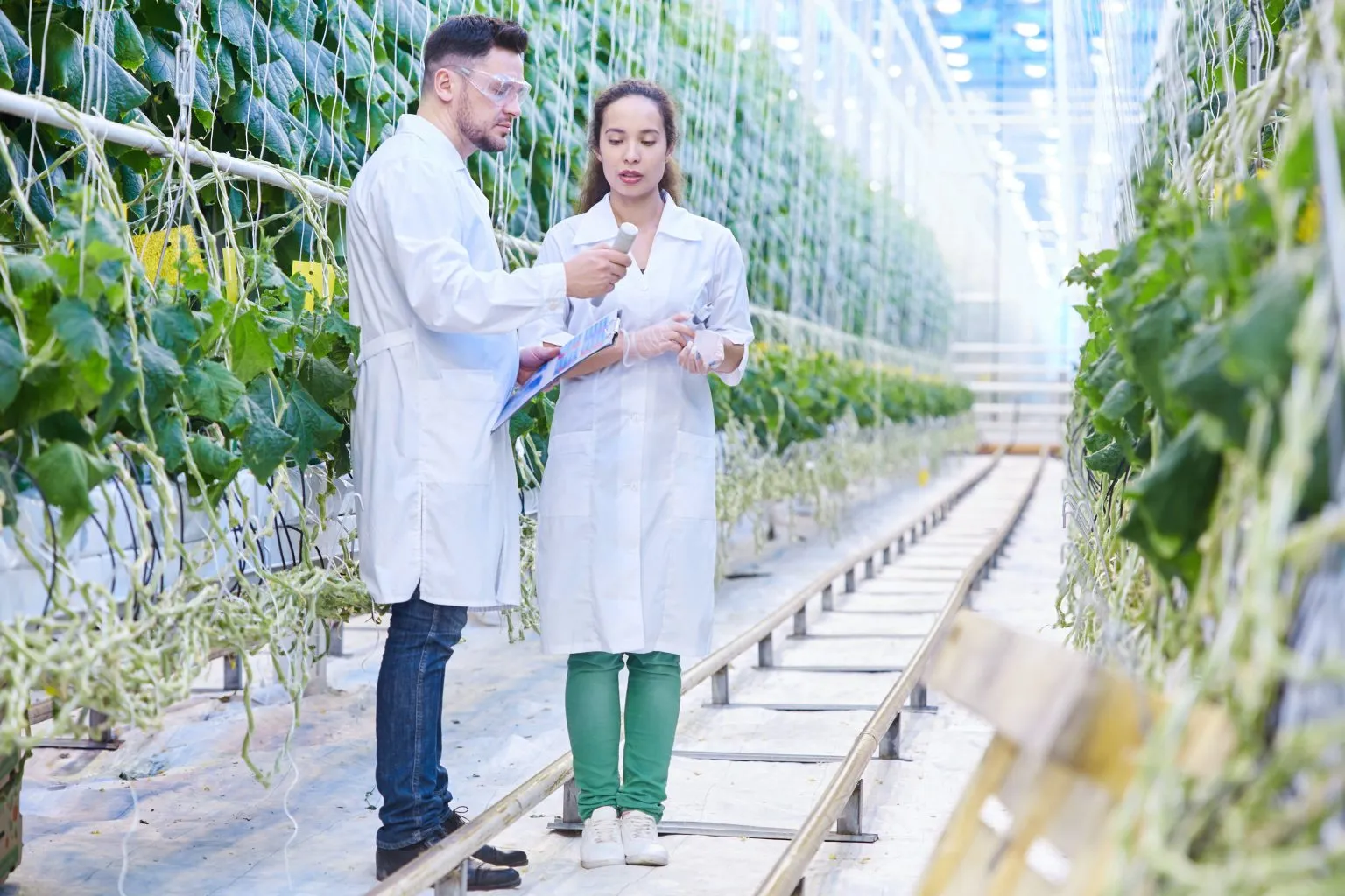 Salidas laborales y campos de acción para un ingeniero agrónomo