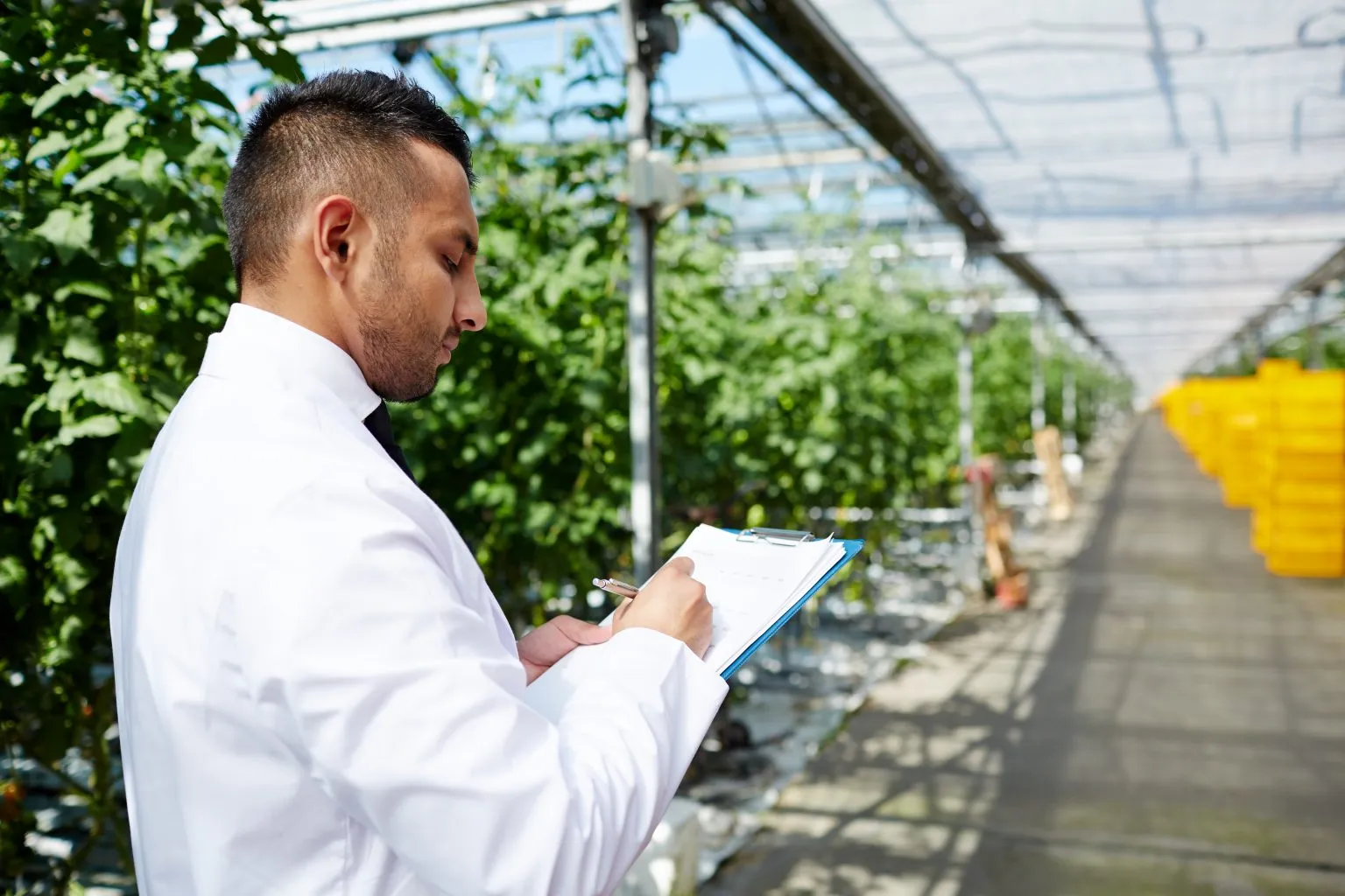 Investigación aplicada: otra forma como USAP está impulsando la innovación en Honduras