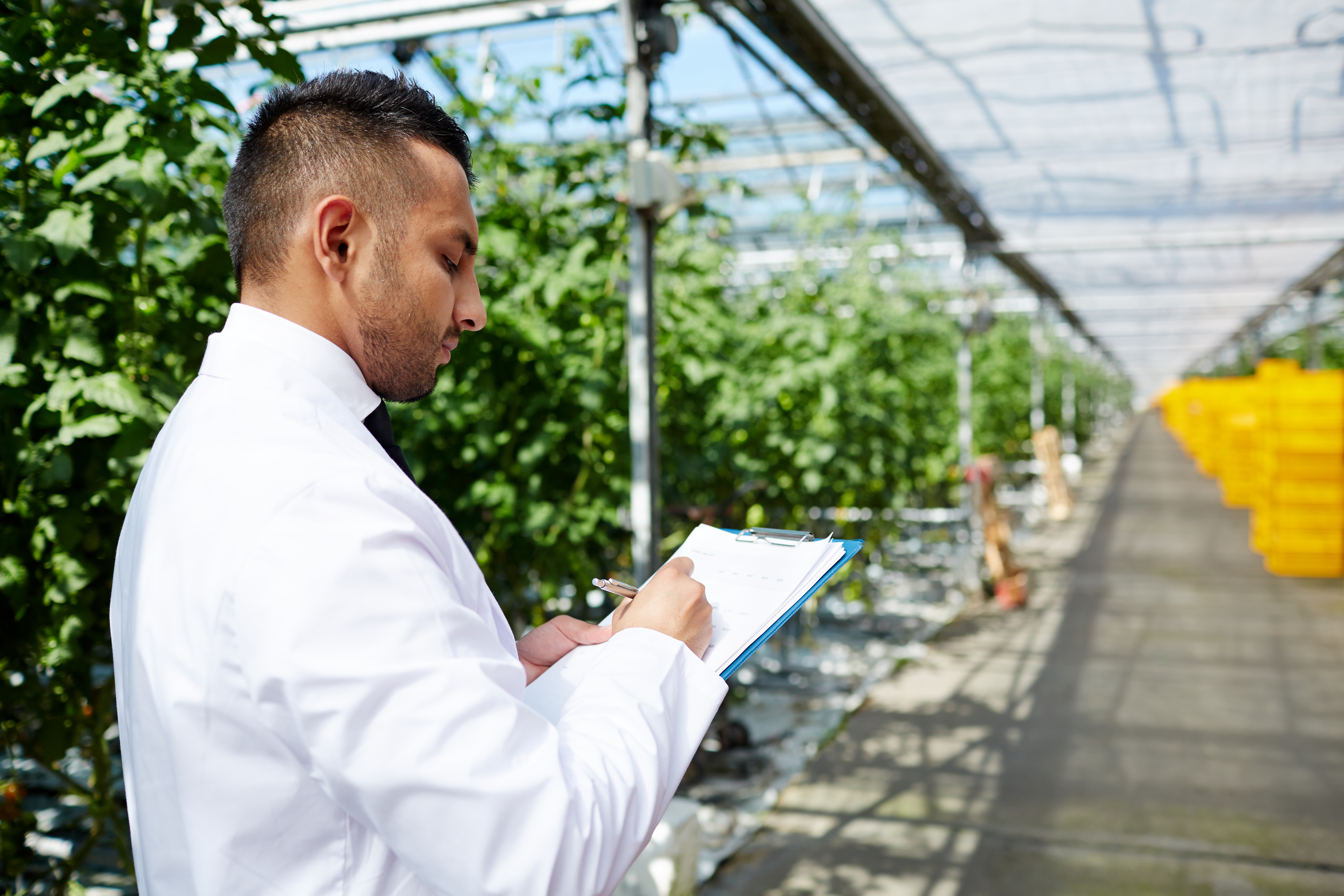 5 técnicas modernas en agronomía que todo experto debe dominar hoy