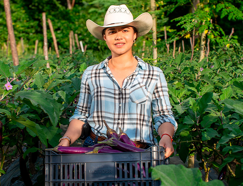 Ingeniería Agronómica Administrativa
